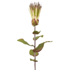 34″ Burgundy protea king