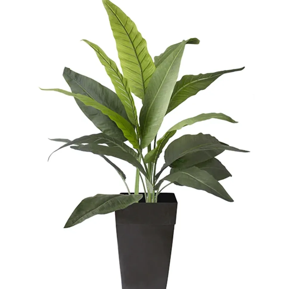 51 x 37″ outdoor bird of paradise planter