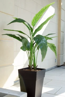 51 x 37″ outdoor bird of paradise planter