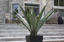 Agave américana vert artificiel extérieur en pot, 63″