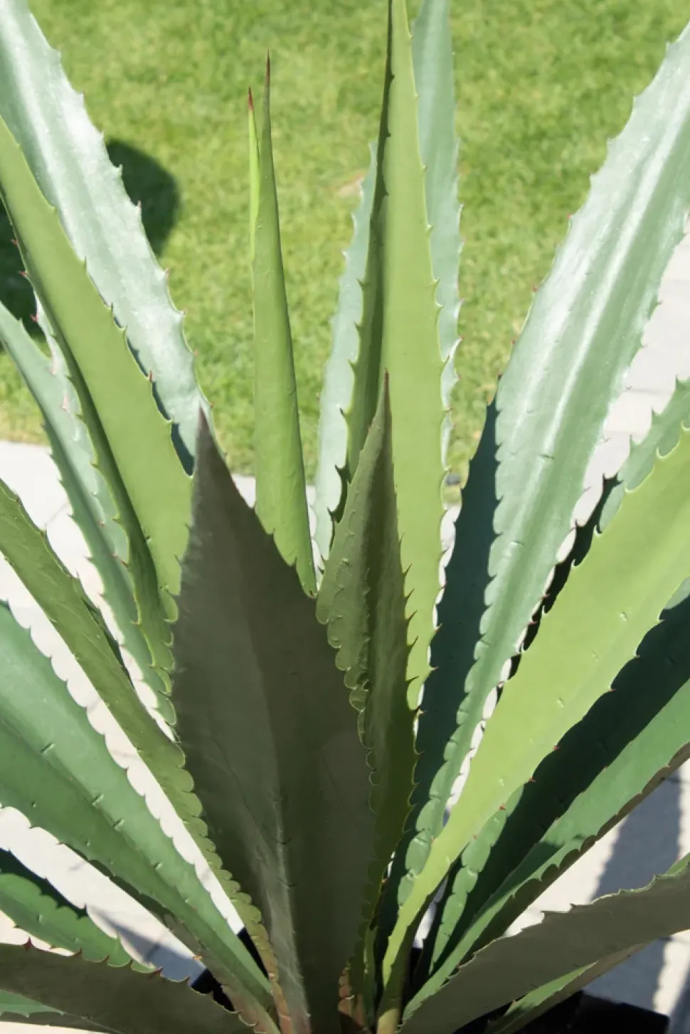 Agave américana vert artificiel extérieur en pot, 63″