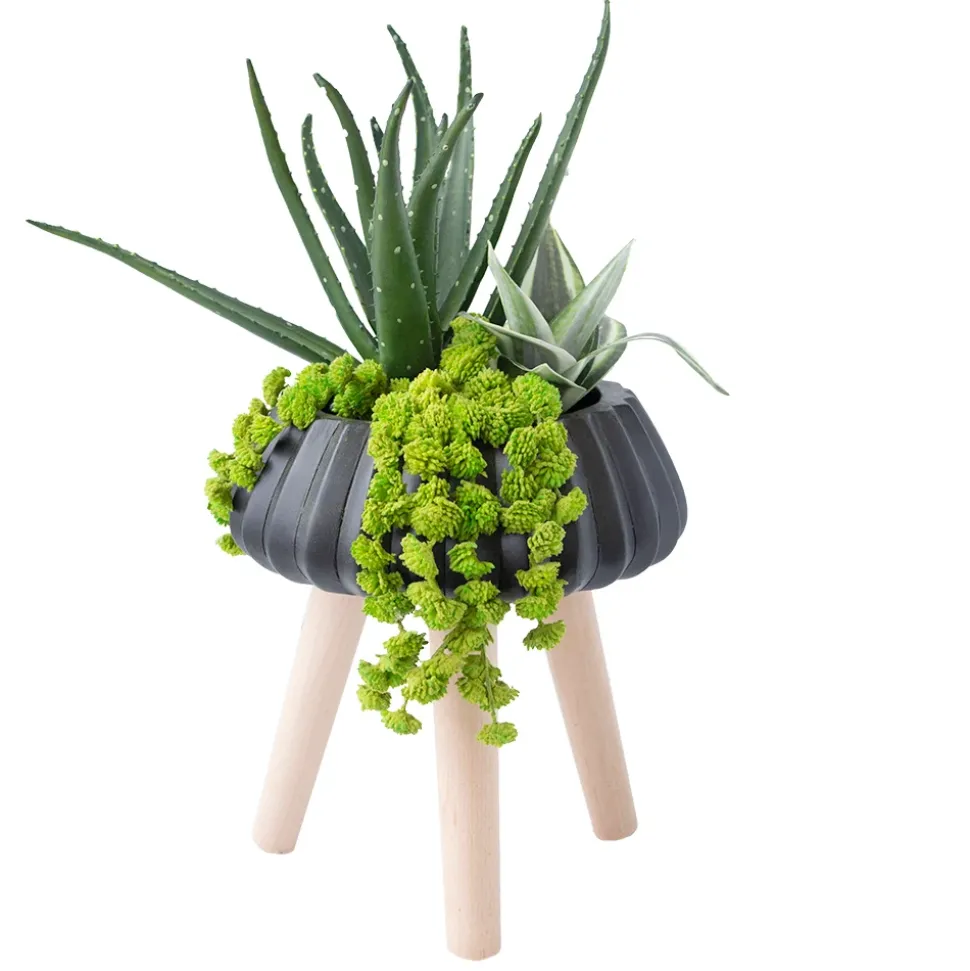 Aloe and sedum Arrangement in Black Standing Planter, 21″
