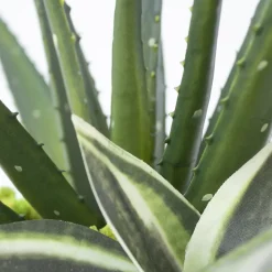 Aloe and sedum Arrangement in Black Standing Planter, 21″