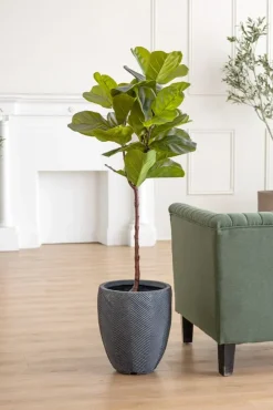 Anthracite oval planter