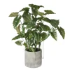 Anthurium artificiel en pot gris, 76 x 56″