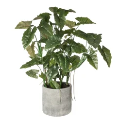Anthurium artificiel en pot gris, 76 x 56″
