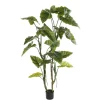 Anthurium artificiel, 63&Prime;