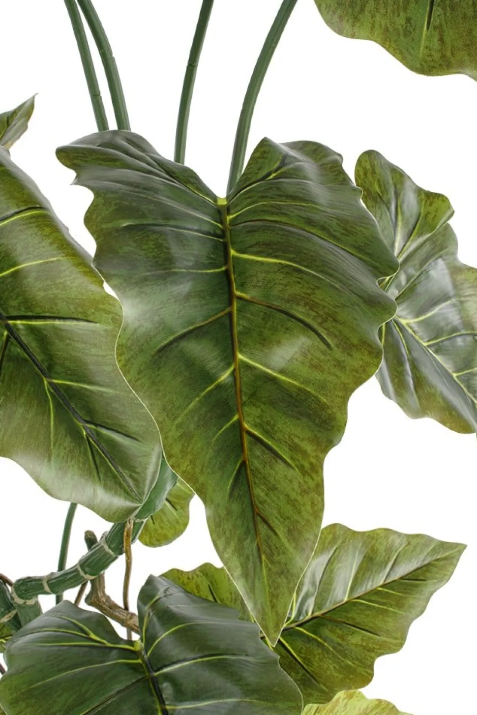 Anthurium artificiel, 63″