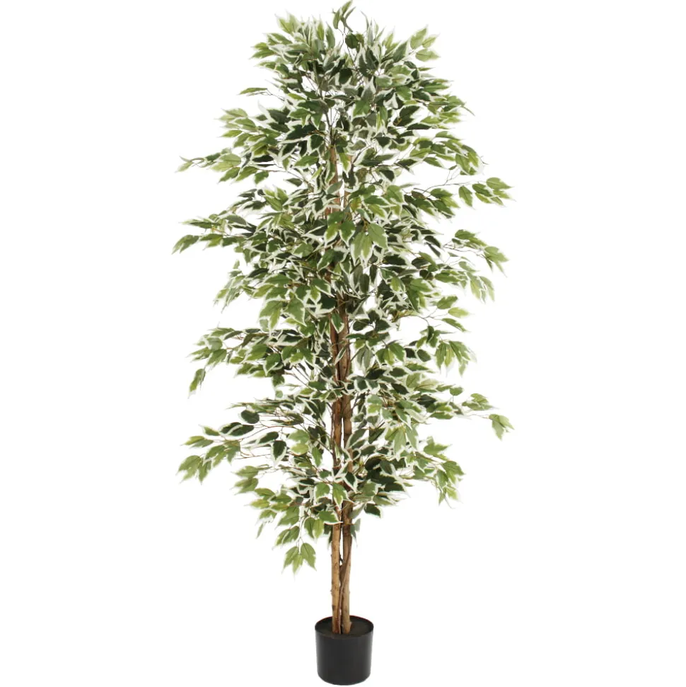 Arbre ficus panaché artificiel, 71″