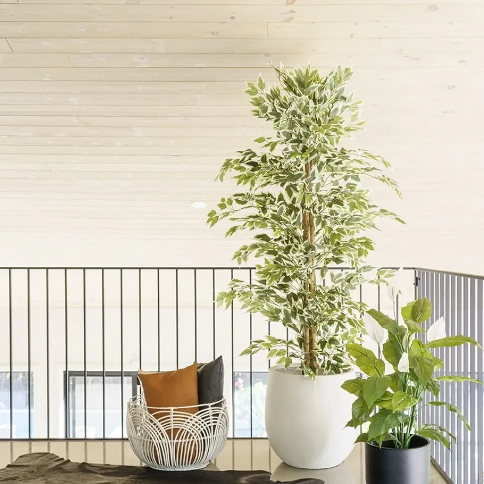 Arbre ficus panaché artificiel, 71″