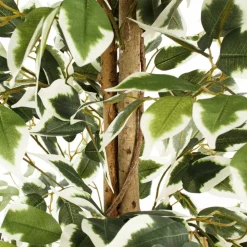 Arbre ficus panaché artificiel, 71″