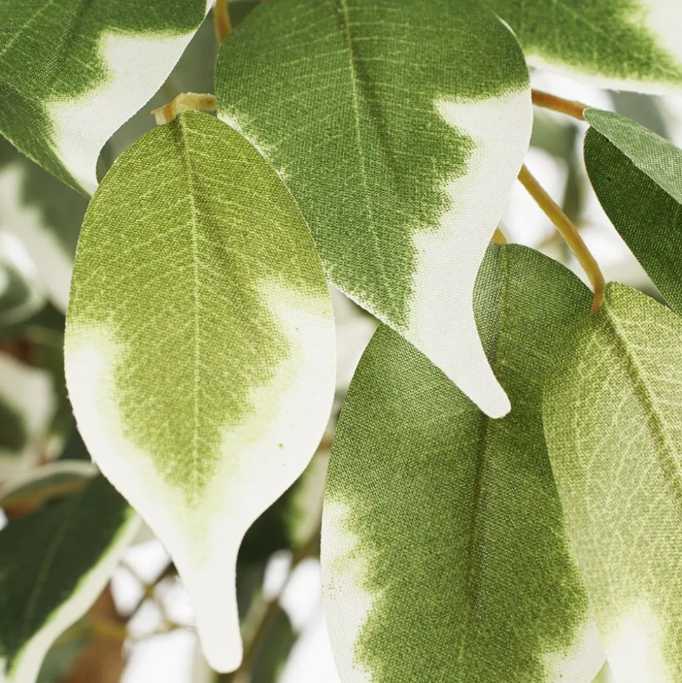 Arbre ficus panaché artificiel, 71″
