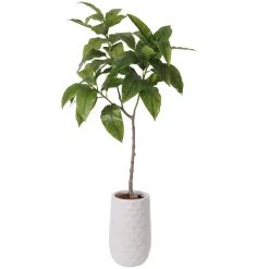 Arbre magnolia artificiel en pot blanc, 55 x 26″
