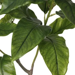 Arbre magnolia artificiel en pot blanc, 55 x 26″