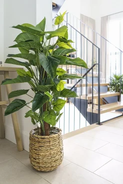 Arbre pothos artificiel, 39&Prime;