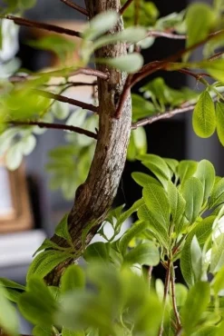 Artificial acacia indoor handmade tree