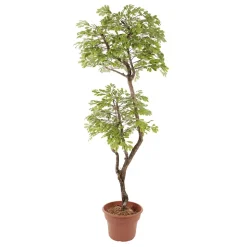 Artificial acacia indoor handmade tree