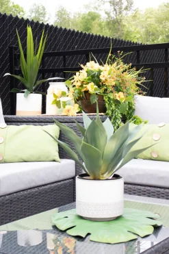 Artificial Agave, 23″