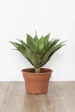 Artificial Agave, 23″