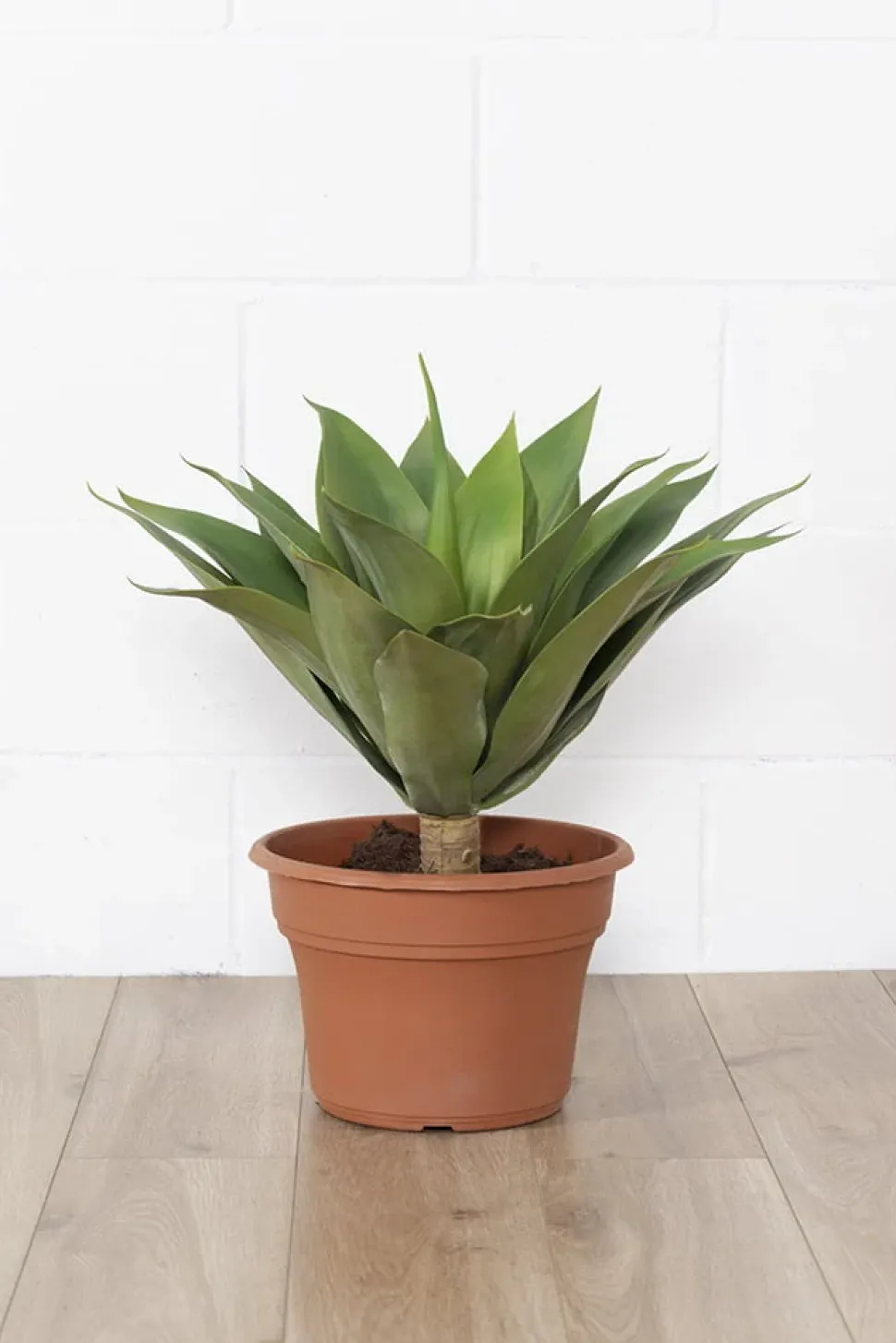 Artificial Agave, 23″