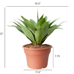 Artificial Agave, 23″