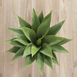 Artificial Agave, 23″