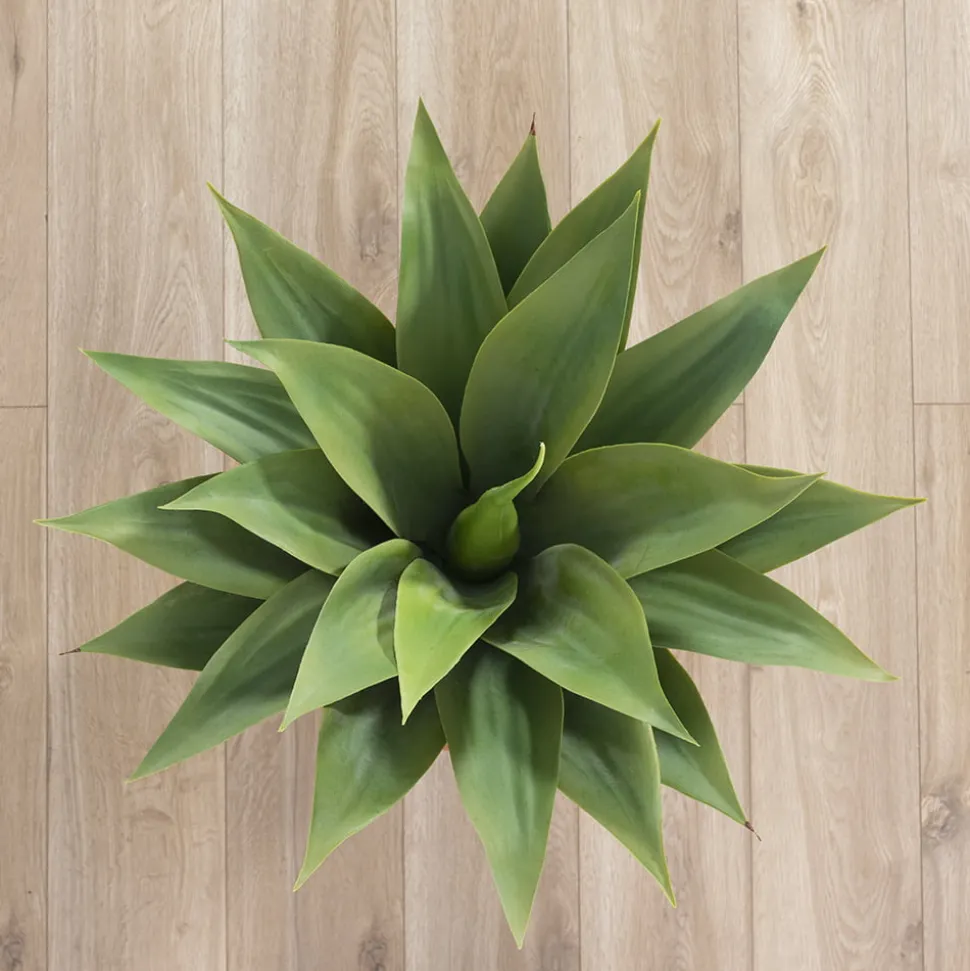 Artificial Agave, 23″