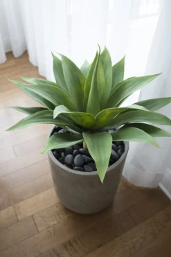 Artificial Agave, 23″