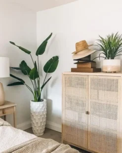 Artificial bird of paradise, 60