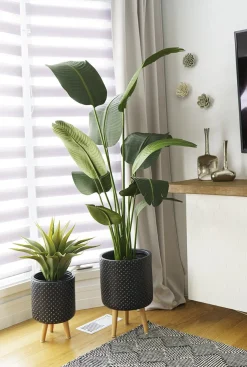 Artificial bird of paradise, 60