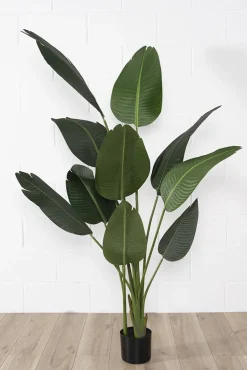 Artificial bird of paradise, 60