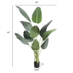 Artificial bird of paradise, 60