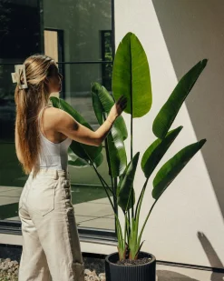 Artificial bird of paradise outdoor plant, 60″