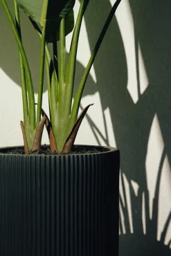 Artificial bird of paradise outdoor plant, 60″