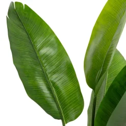 Artificial bird of paradise outdoor plant, 60″