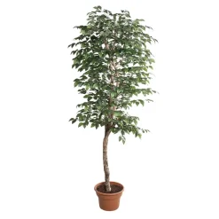 Artificial camellia indoor handmade tree