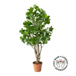 Artificial clusia indoor handmade tree