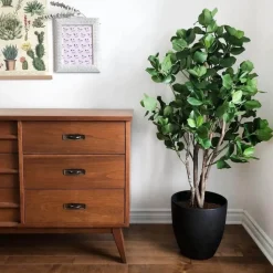 Artificial clusia indoor handmade tree