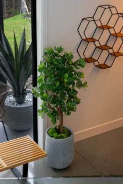 Artificial clusia indoor handmade tree