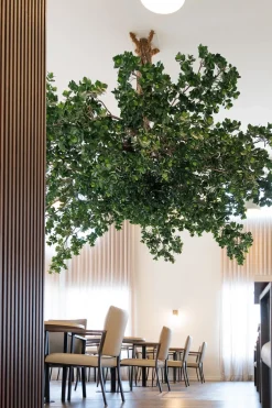 Artificial clusia indoor handmade tree