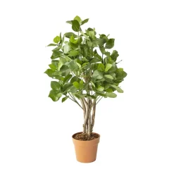 Artificial clusia indoor handmade tree