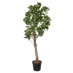 Artificial clusia indoor handmade tree