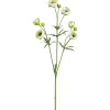 Artificial cream ranuculus flower spray, 25"