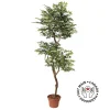 Artificial curved aralia ming handmade tree