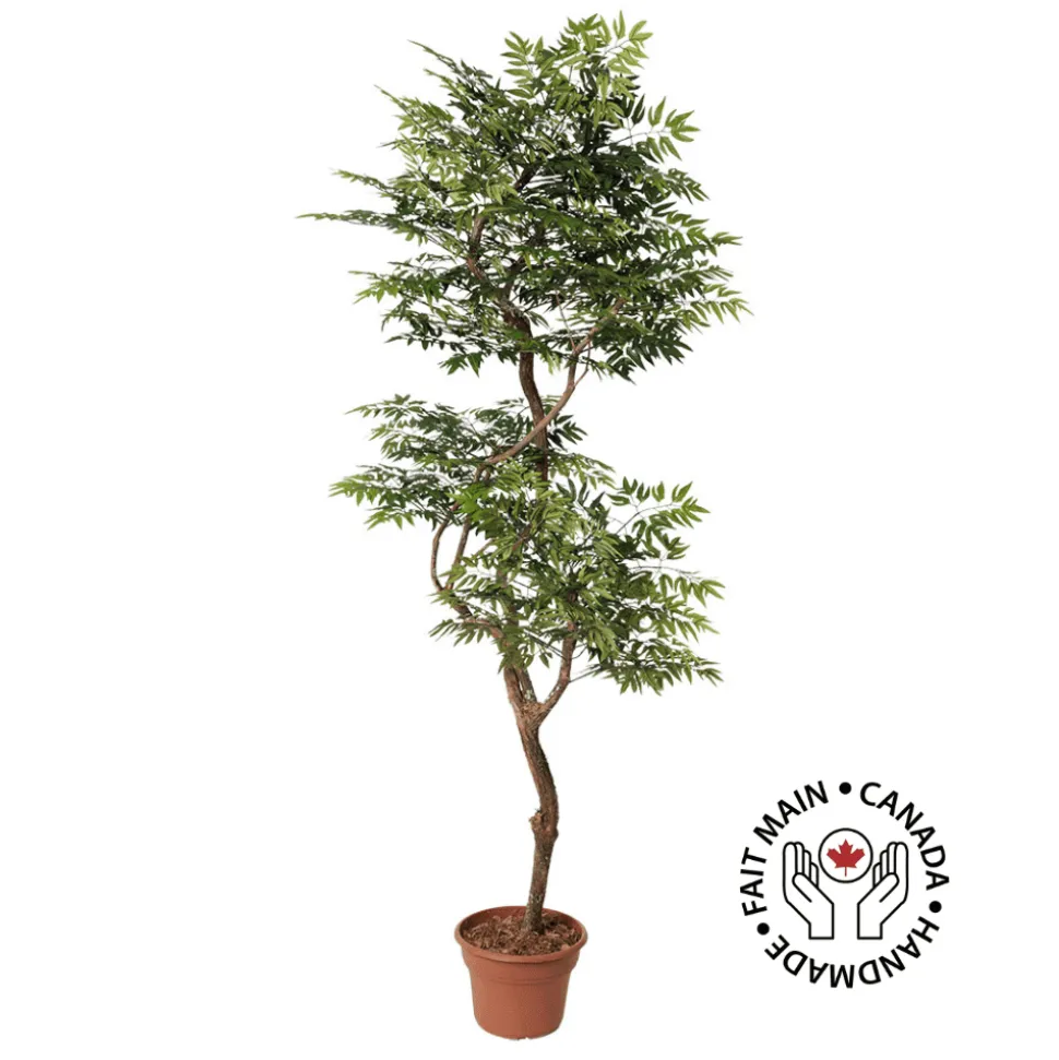 Artificial curved aralia ming handmade tree