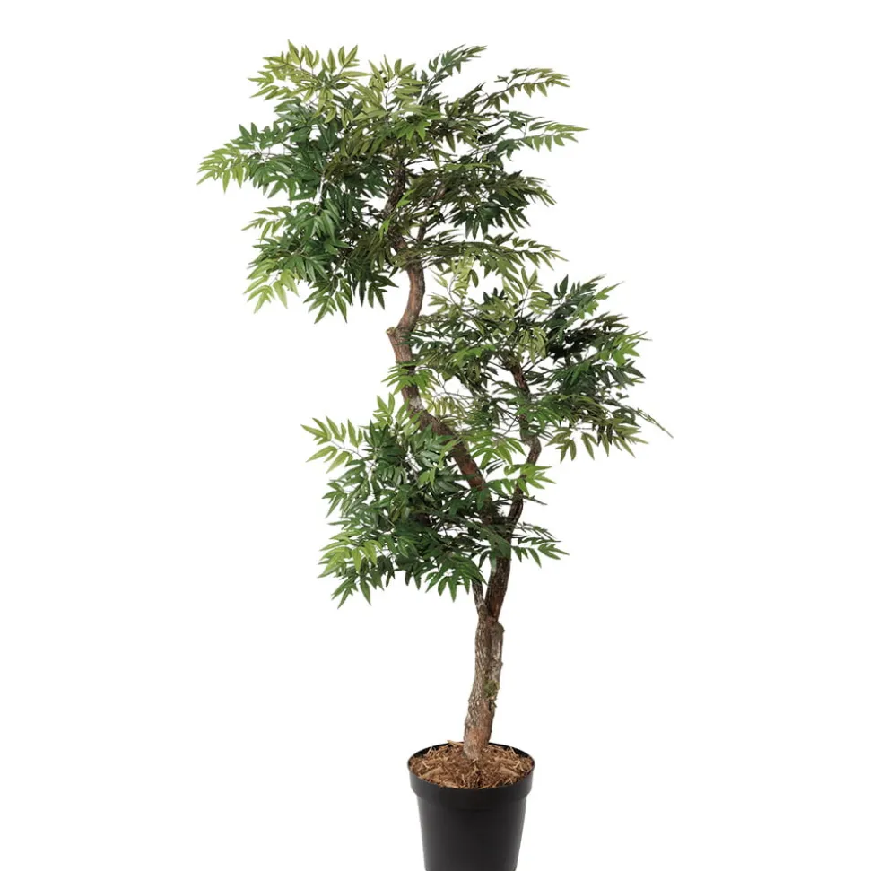 Artificial curved aralia ming handmade tree