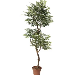 Artificial curved aralia ming handmade tree