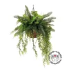 Artificial cycas and plant hanging arrangement, 36 x 28"