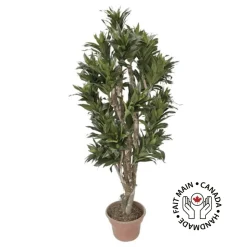 Artificial dracaena fragrans handmade tree
