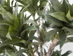 Artificial dracaena fragrans handmade tree